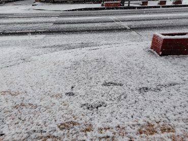 雪｜「カマダ生花店」　（岩手県花巻市の花キューピット加盟店 花屋）のブログ